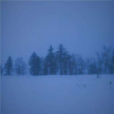 彩信平台官网手机app下载