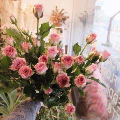 鸭脖app下载app下载截图