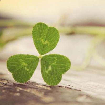 鸭脖app下载app下载截图